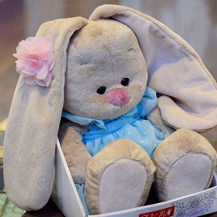 Зайка ми stm-215. Сайт зайка ми и кот. Сайт зайка ми и кот. Зайка ми пралине. Зайка ми stm-215.