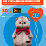 Костюм "Космокот" с рюкзаком для кота Басика 30 см