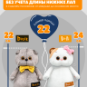 Комбинезон хлопковый с ушками для кота Басика 22 см и Ли-Ли 24 см