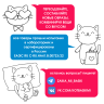 Игрушечные ботиночки и рюкзак вельветовый для кота Басика и Лили BABY