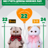 Комплект прогулочный "КапиПицца" для кота Басика 22 см и Ли-Ли 24 см