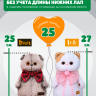 Комплект прогулочный "КапиПицца" для кота Басика 25 см и Ли-Ли 27 см