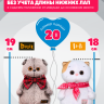 Малиновый рюкзак mini и ботиночки для кота Басика 19-20 см, кошечки Лили Baby