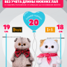 Плюшевый комплект с жилетом для кота Басика 20 см и Ли-Ли BABY