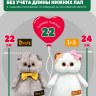 Комбинезон хлопковый с капюшоном для кота 22 см и Ли-Ли 24 см