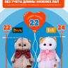 Костюм "Космокот" с рюкзаком для кота Басика 22 см и Ли-Ли 24 см