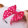 Платье ярко-розовое в цветочек в подарочной упаковке для кошечки Ли-Ли