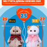 Костюм "Космокот" с рюкзаком для кота Басика 25 см и Ли-Ли 27 см