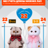 Комплект одежды "Гусята" с рюкзаком для кота Басика 22 см и Ли-Ли 24 см
