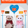 Комплект одежды "Гусята" с рюкзаком для кота Басика 25 см и Ли-Ли 27 см